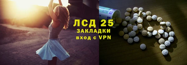 ПСИЛОЦИБИНОВЫЕ ГРИБЫ Абаза