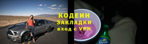 ПСИЛОЦИБИНОВЫЕ ГРИБЫ Абаза