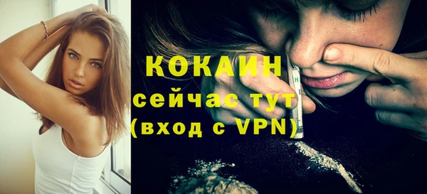 ПСИЛОЦИБИНОВЫЕ ГРИБЫ Абаза