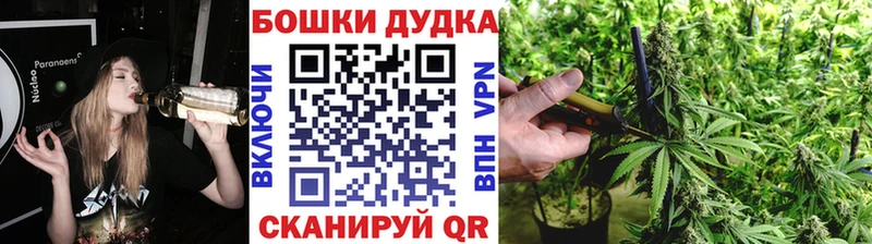 даркнет сайт Ясный мориарти телеграм Бошки марихуана Ganja KRAKEN